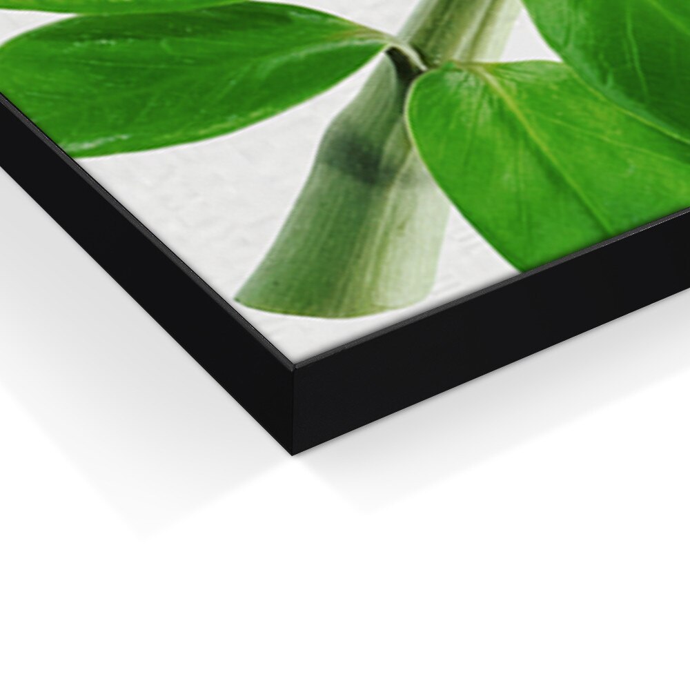 Aspen Slim(19) Single-Sided Black