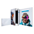 Modco 30 - 10x10 Graphic Package