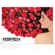10ft.-Aspen-SEG-Fabric-Frame-Backwall_Single Sided Graphic Package-01.jpg