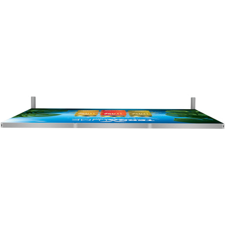 Showbird-65-300x240_Single Sided Graphic Package-04.jpg