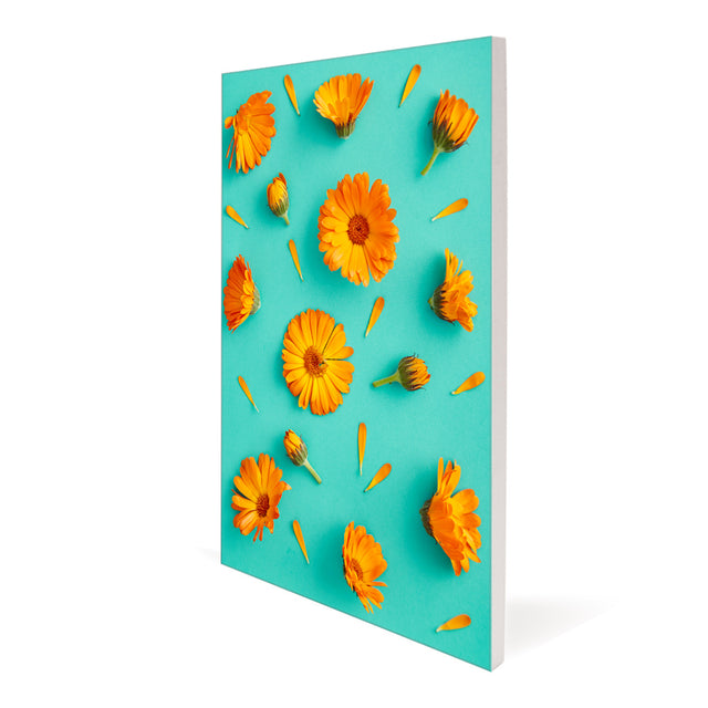 Aspen-Slim-SEG-Displays_1.jpg